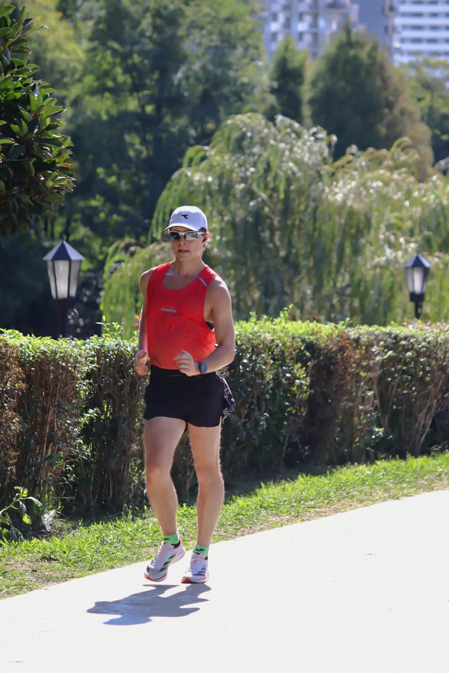 altImages.Gruzja altImages.Gruzja